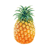 pineapple